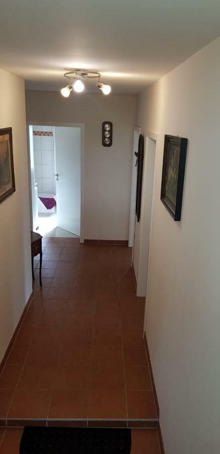 קמניץ Im Ballhaus Neuhilbersdorf מראה חיצוני תמונה